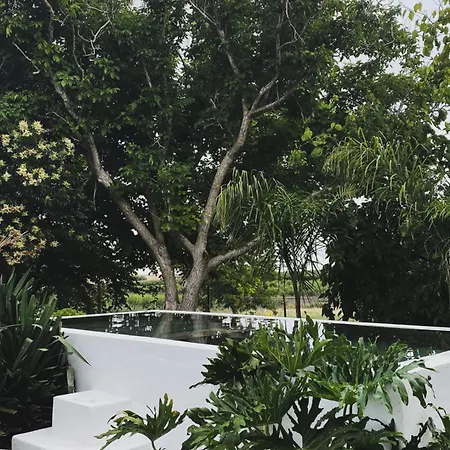Lobeira - Centenary Country House And Gardens Beja Exterior photo