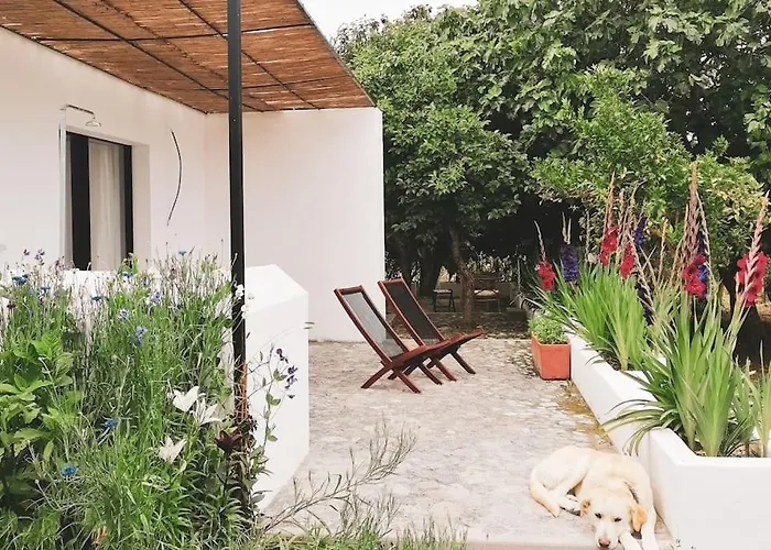 Lobeira - Centenary Country House And Gardens