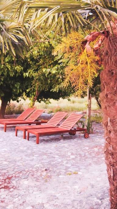 Lobeira - Centenary And Gardens *