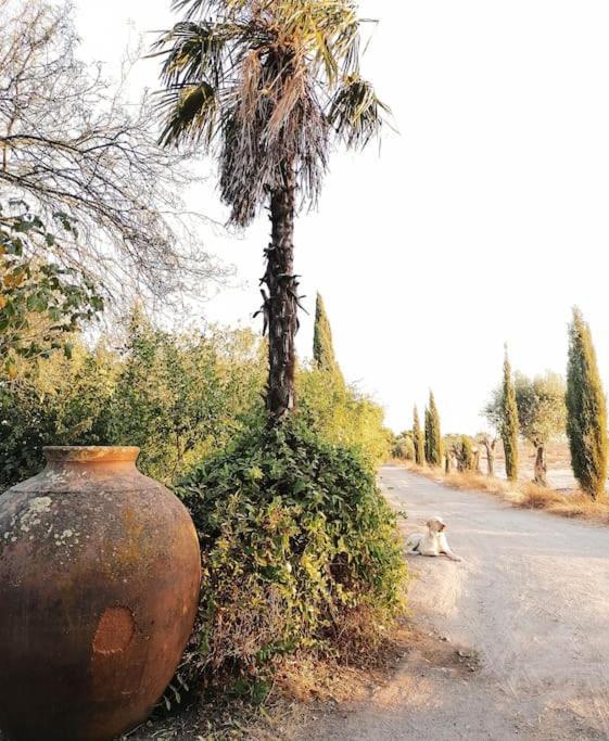 Lobeira - Centenary And Gardens